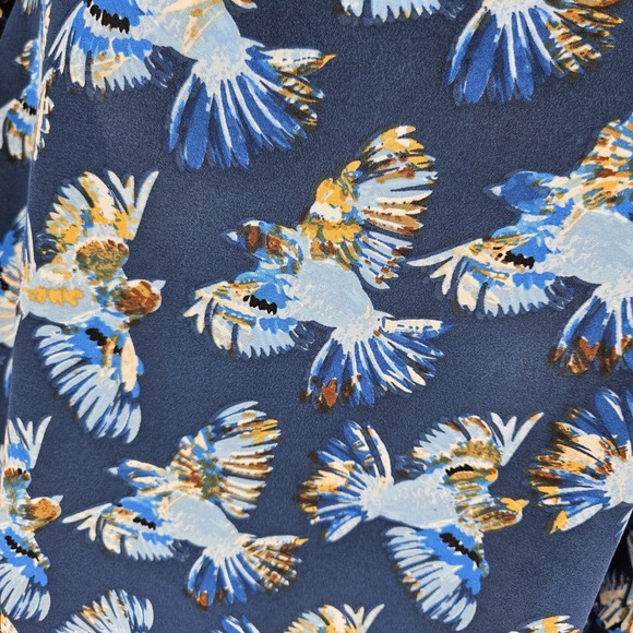 Finn & Grace Blue Sparrow Ruffle Blouse Womens M Whimsical Boho CottageCore - Picture 5 of 9